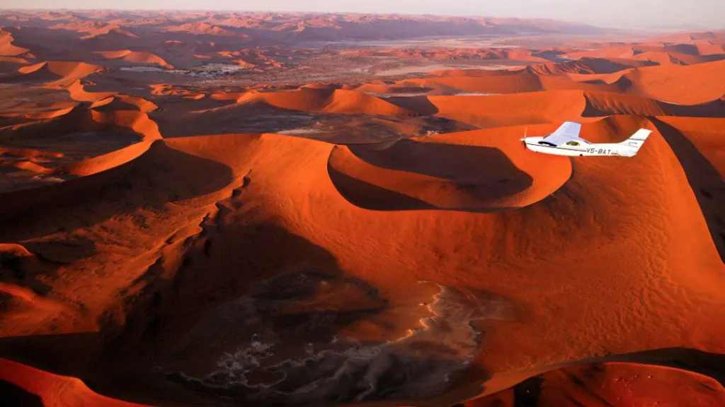 Namibia Safari Tours 2026: Why Explore Its Wild Deserts and Wildlife?, Safari World Tours