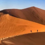 Namibia Safari Tours