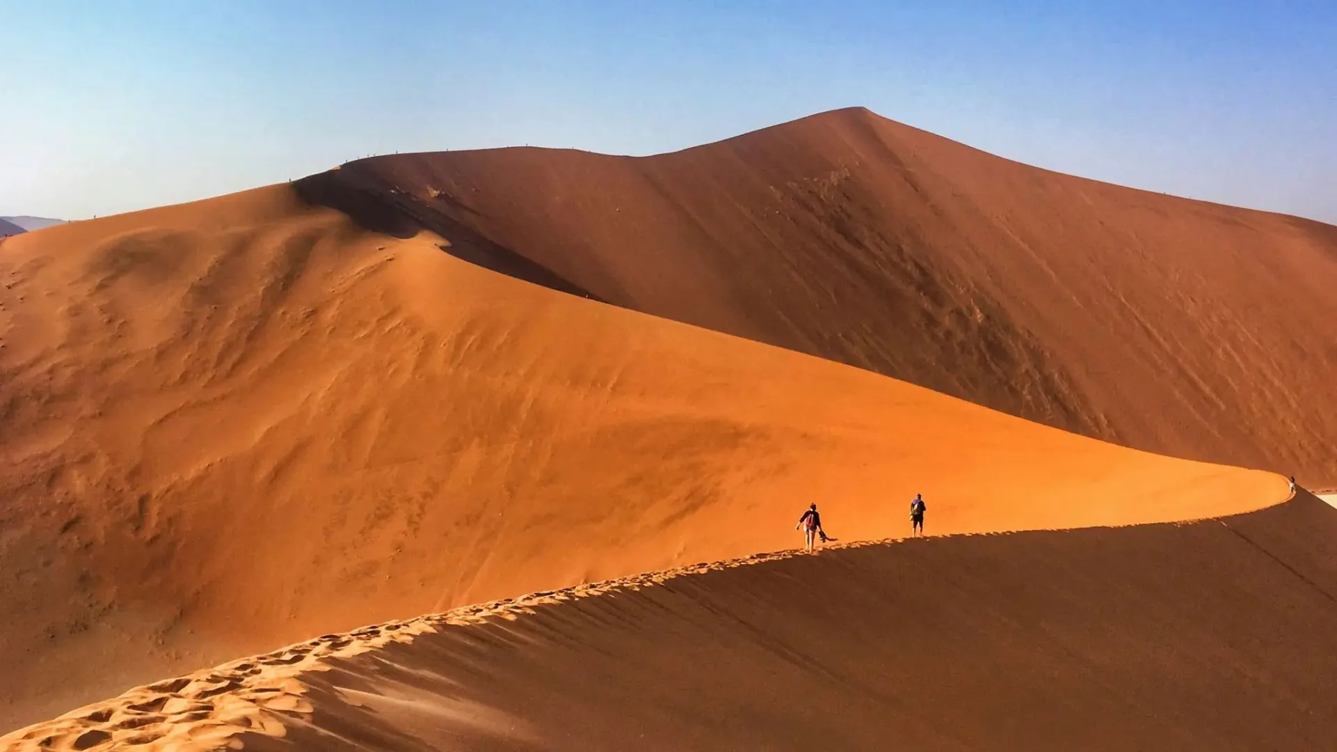 Namibia Safari Tours