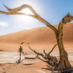Namibia Touren und Safaris