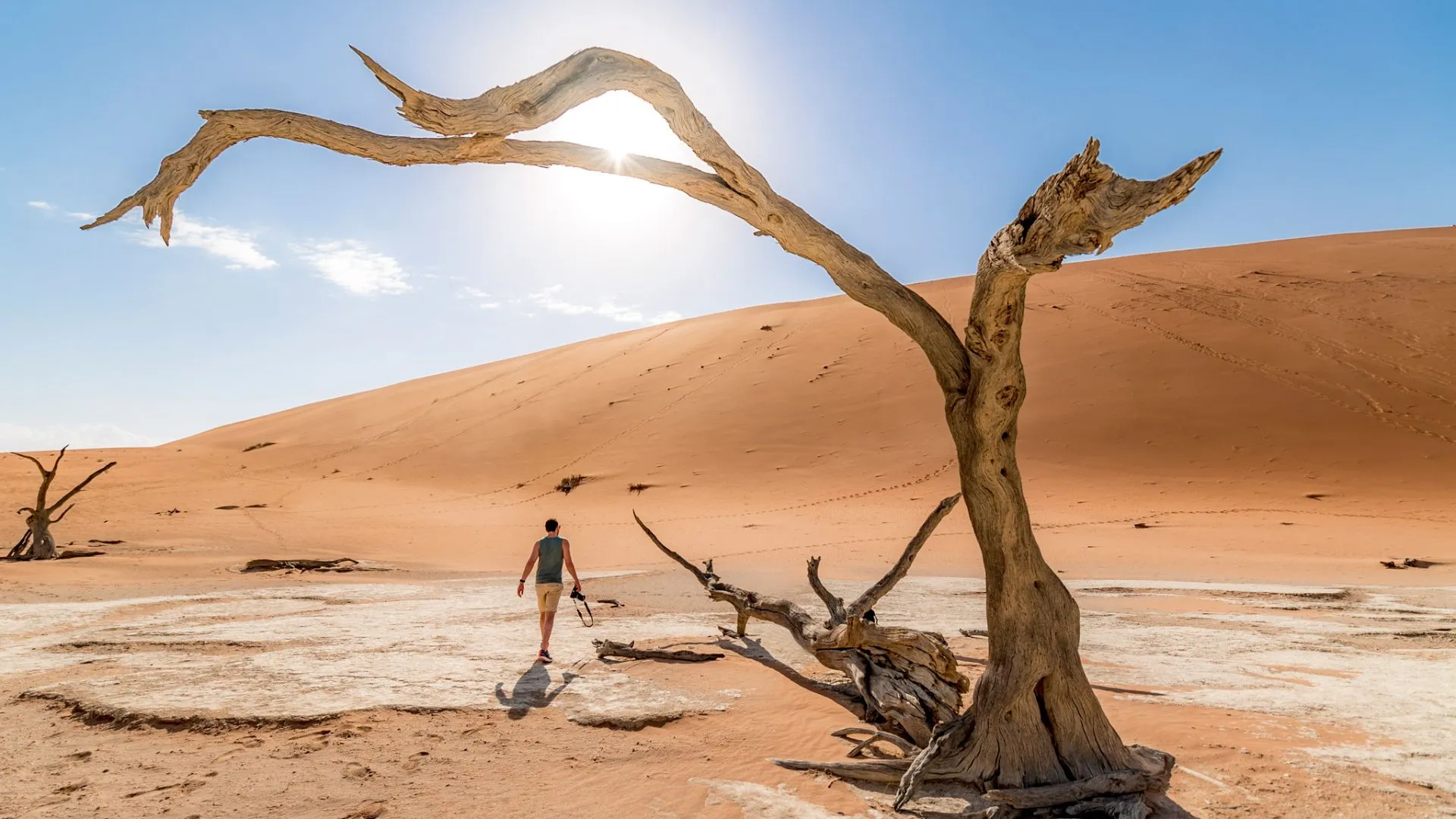 Namibia Tours and Safaris Namibia Tours and Safaris