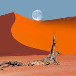 Namibia Tours swt