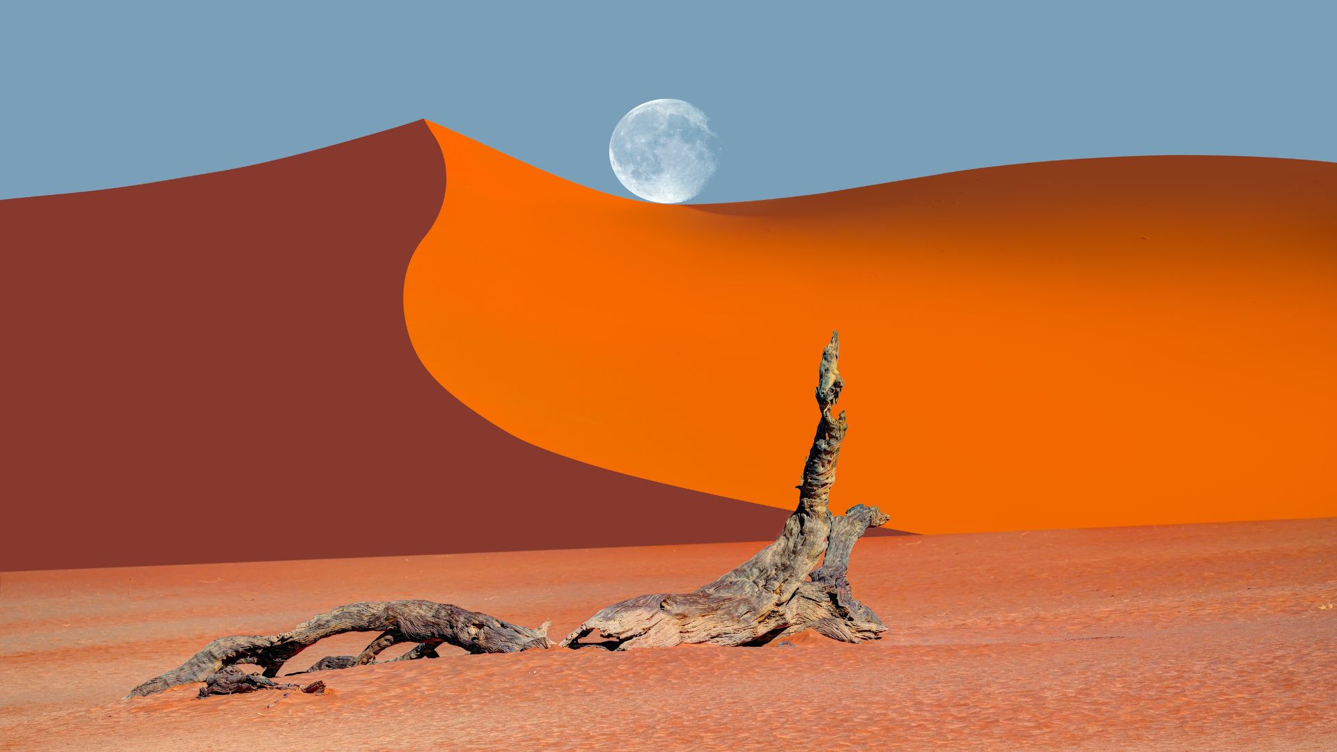 Namibia Tours swt