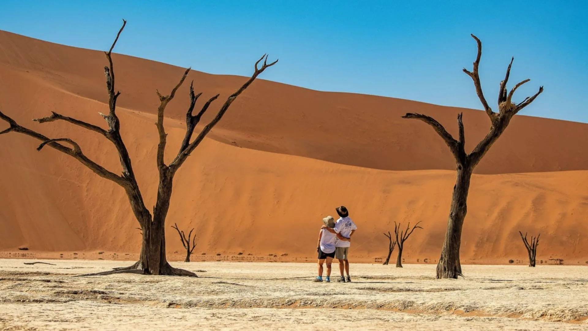 Namibia vs Botswana Safari