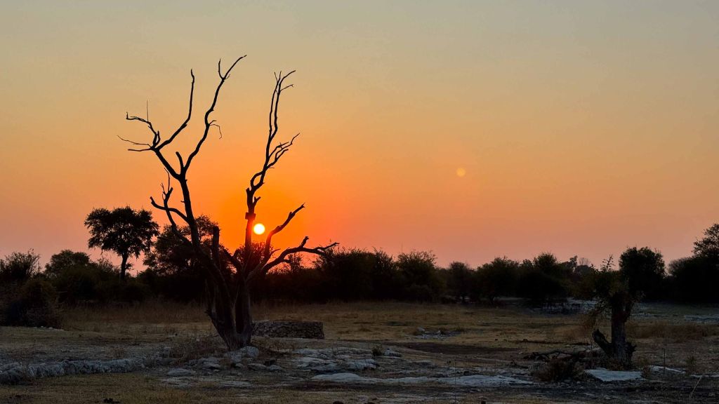 What Makes Namibia Tours Different?, Safari World Tours