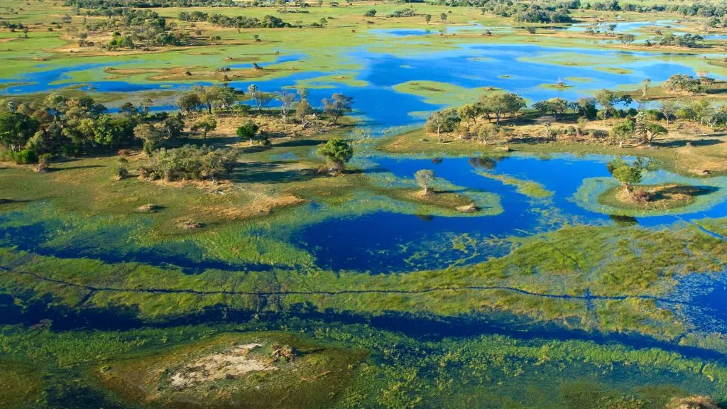 Namibia vs Botswana Safari: Which Destination Is Best for You?, Safari World Tours