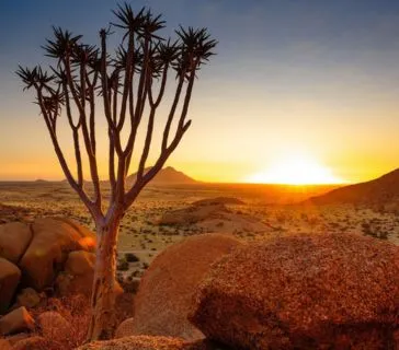 Namibia Safari 2026: Best Time to Visit and What to Expect, Safari World Tours