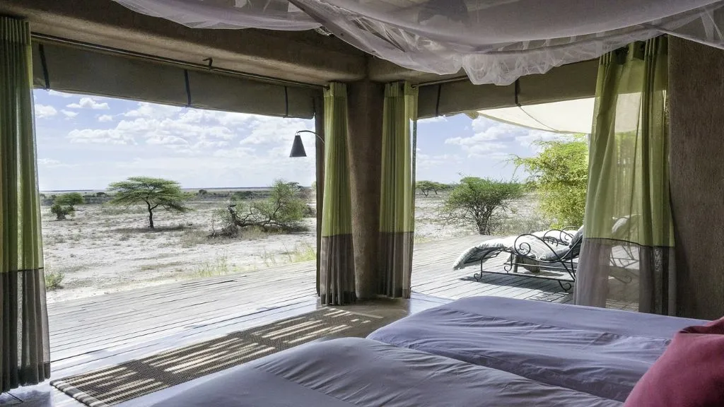 What Does a Typical Day in Etosha National Park Look Like?, Safari World Tours