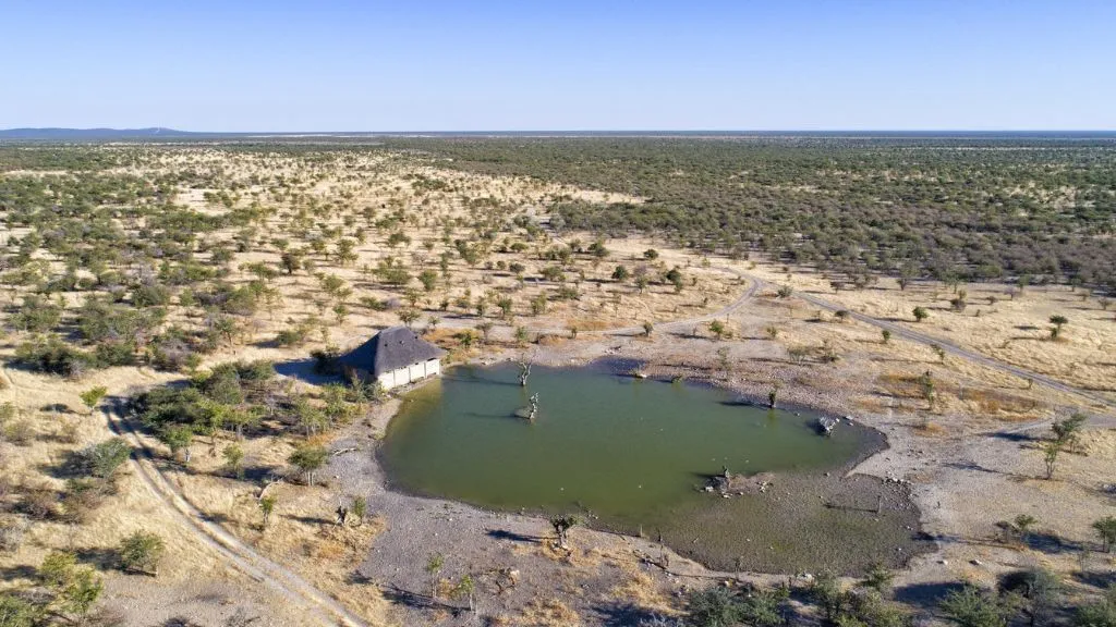 What Does a Typical Day in Etosha National Park Look Like?, Safari World Tours