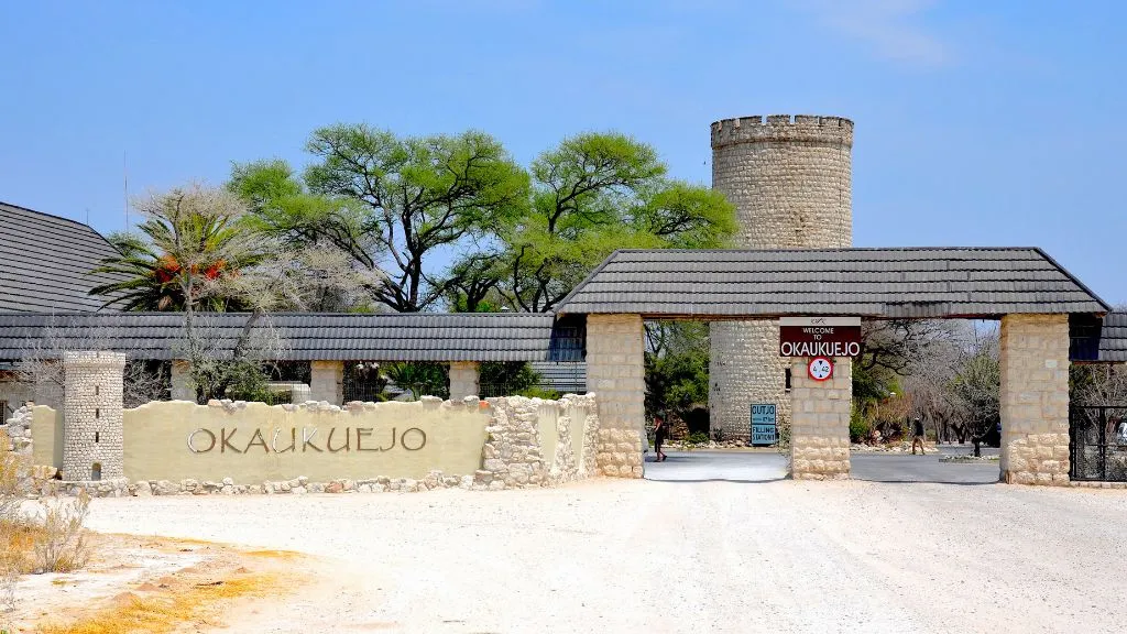 What Does a Typical Day in Etosha National Park Look Like?, Safari World Tours