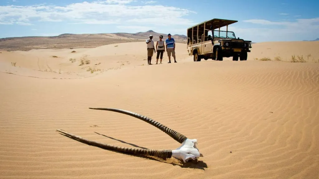 Skeleton Coast Safari in Namibia: Wildlife, Shipwrecks and Desert Landscapes, Safari World Tours