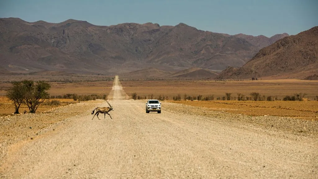 Can You Combine Namibia, Botswana and Victoria Falls in One Trip? 2027 Routes and Costs, Safari World Tours