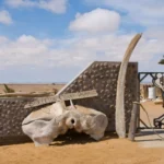 Skeleton Coast Safari